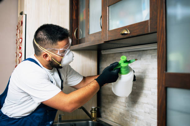 Best Pest Prevention Services  in Vails Gate, NY