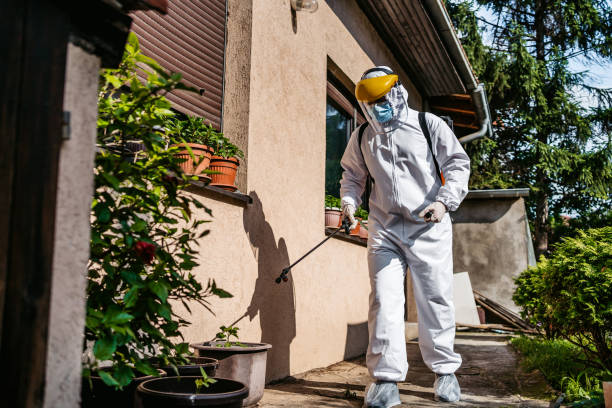 Insect Control in Vails Gate, NY