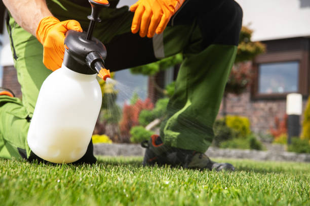 Best Mosquito Control Services  in Vails Gate, NY