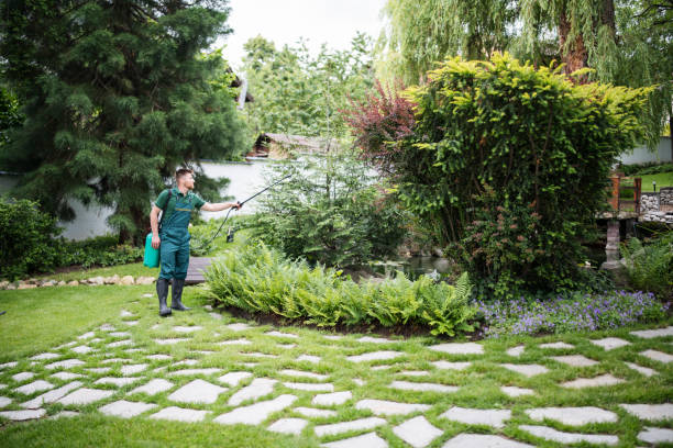 Best Affordable Pest Control Services  in Vails Gate, NY