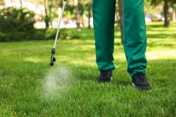 Best Local Pest Control Services  in Vails Gate, NY