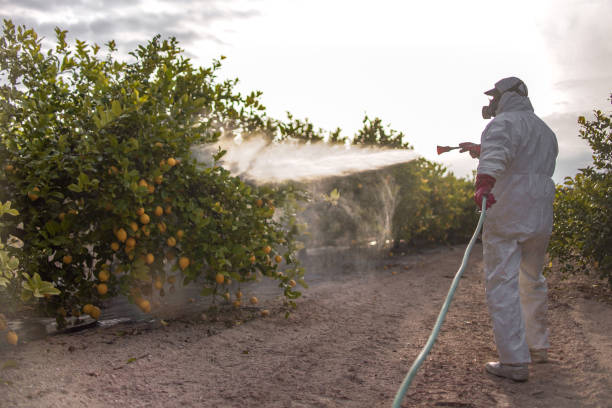 Best Pest Control Near Me  in Vails Gate, NY
