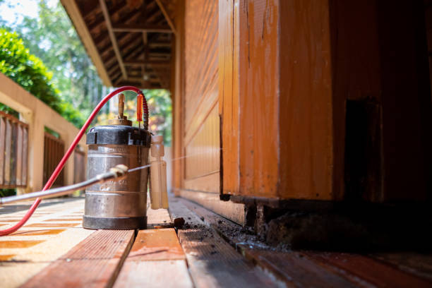 Best Termite Control Services  in Vails Gate, NY