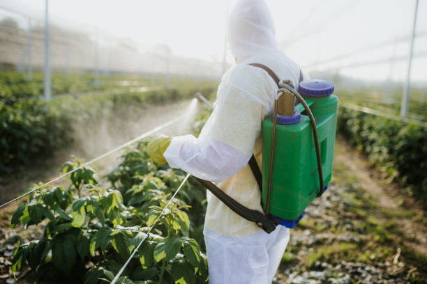 Best Pest Inspection Near Me  in Vails Gate, NY